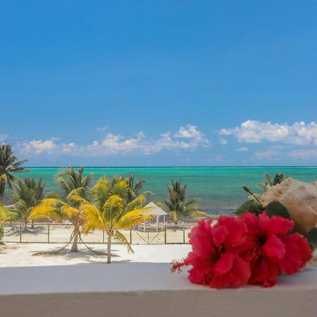 Treetops Hotel Caye Caulker Bagian luar foto