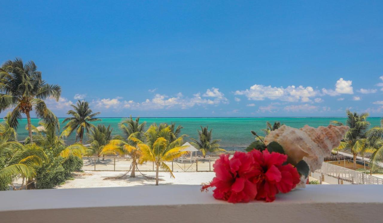 Treetops Hotel Caye Caulker Bagian luar foto