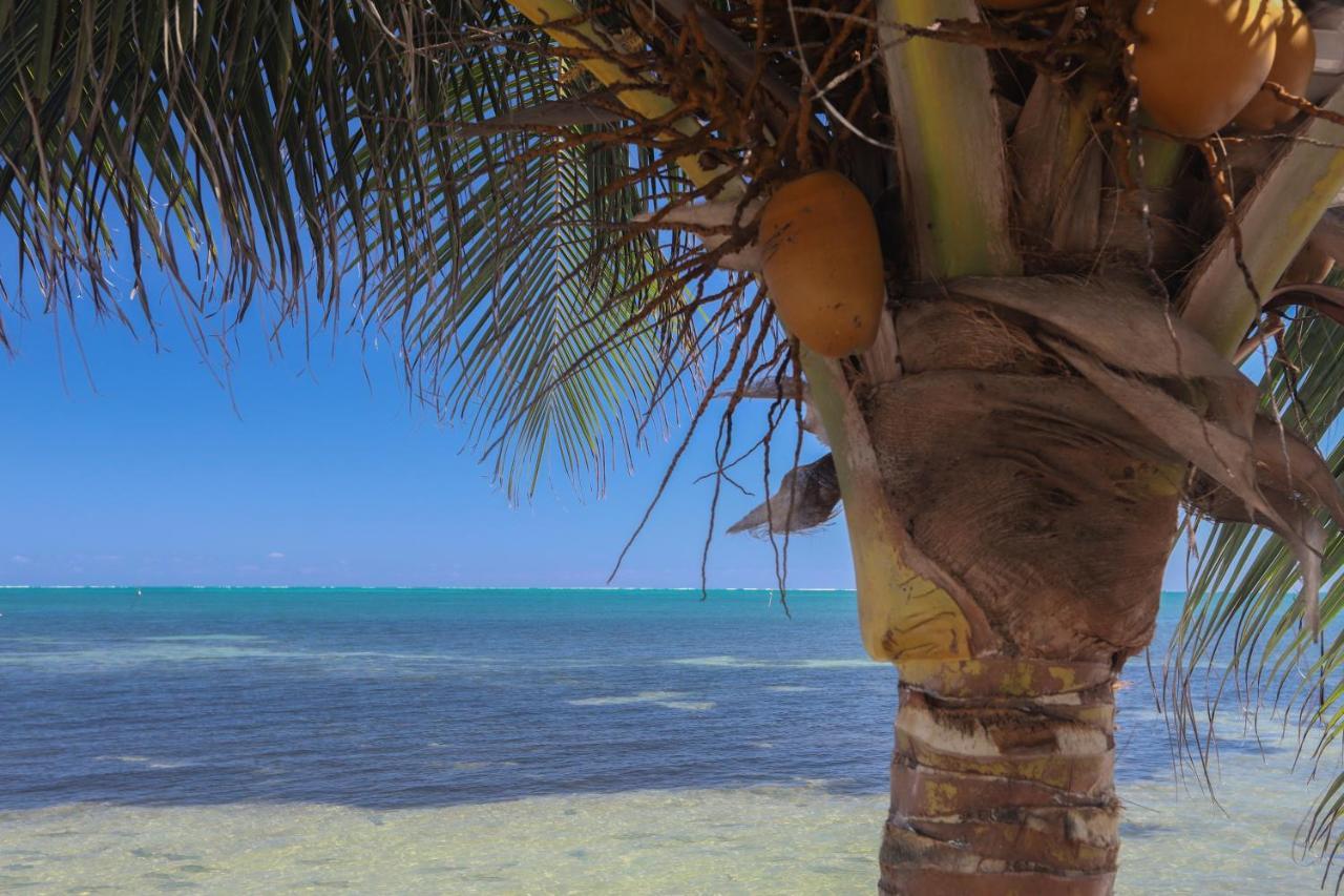 Treetops Hotel Caye Caulker Bagian luar foto